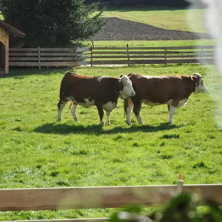 Brunnelerhof Am Sonnenplateau *