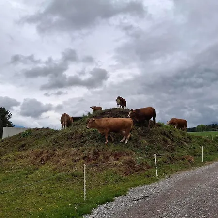 Brunnelerhof Am Sonnenplateau Wildermieming